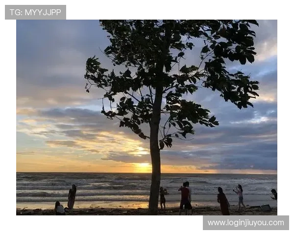 沙巴真人在线娱乐体验指南,提升您的游戏技巧与获胜概率